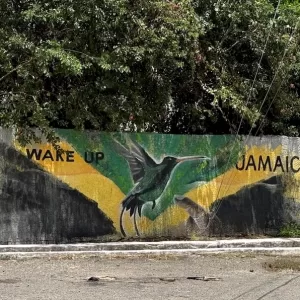 Changes to Structure and Function of Government to achieve Optimal Development of every Jamaican citizen – Part 1